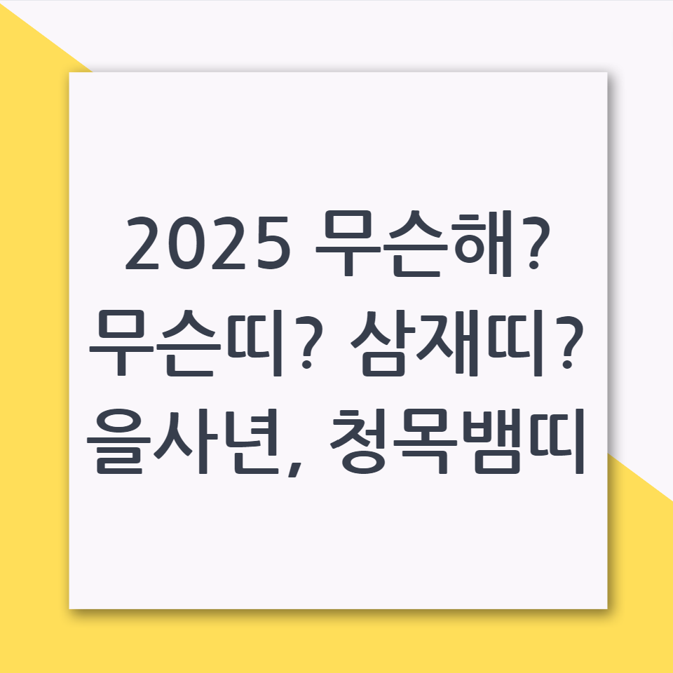 2025 무슨해 무슨띠