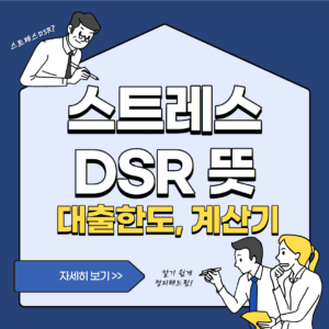 스트레스DSR 뜻