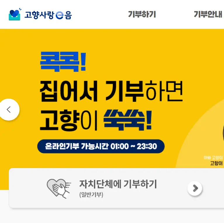 세종시 고향사랑기부제