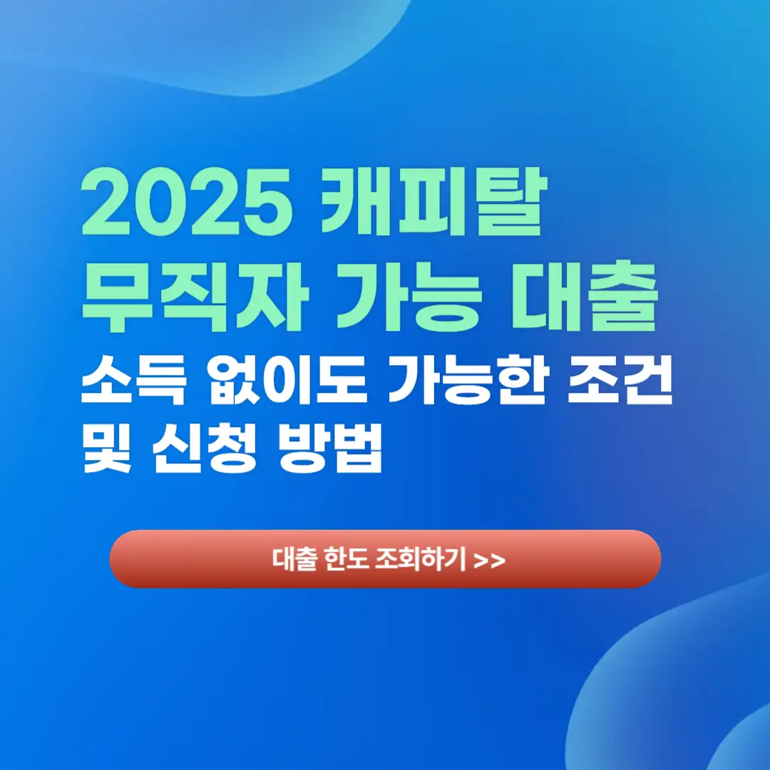 캐피탈 무직자 가능 대출