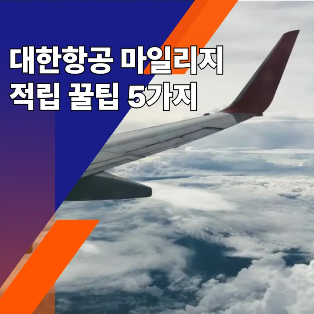 대한항공 마일리지